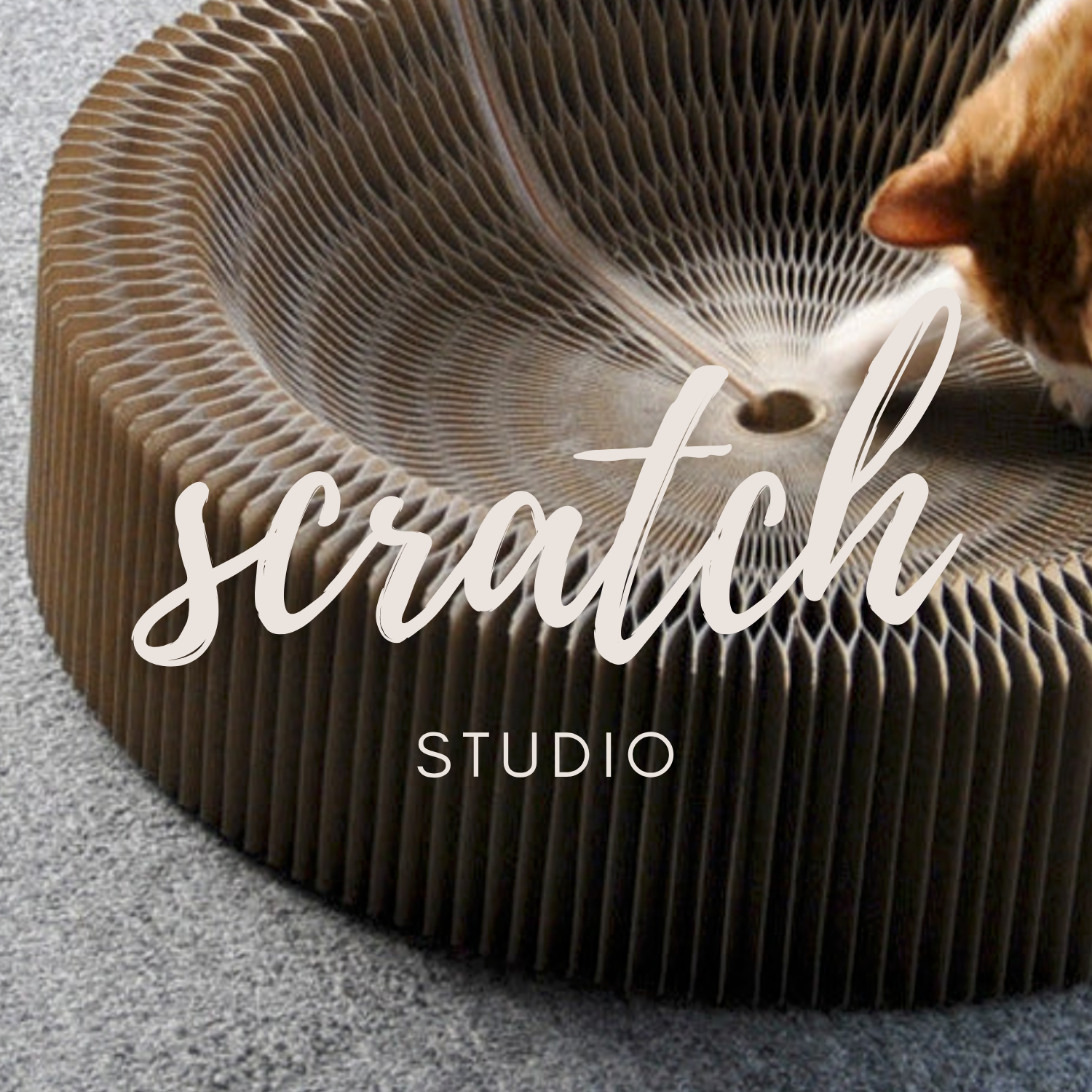 Scratch Studio