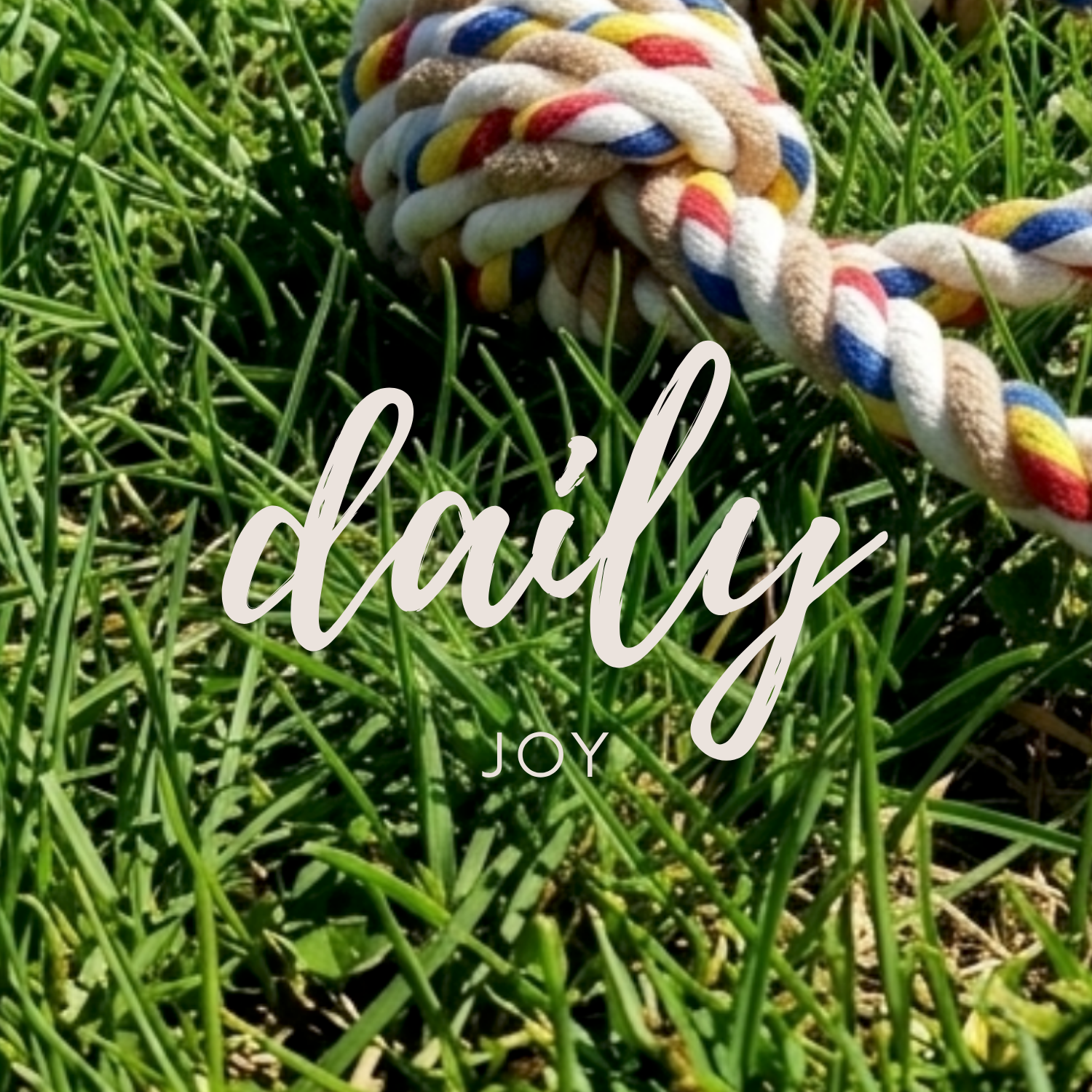 Daily Joy