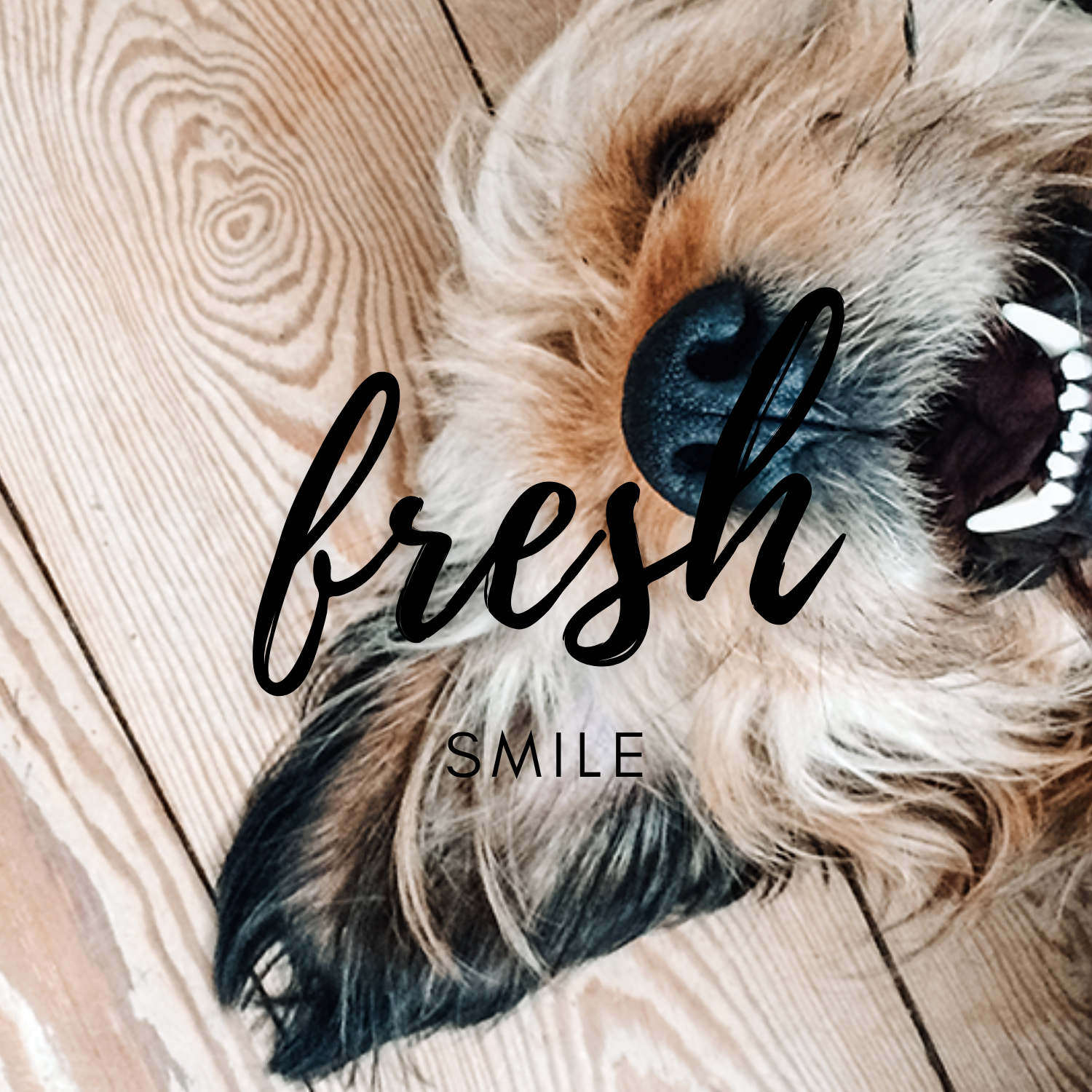 Fresh Smile