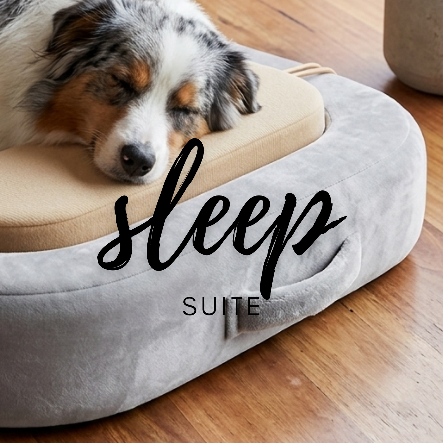Sleep Suite