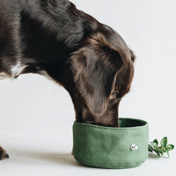 WaterBowl