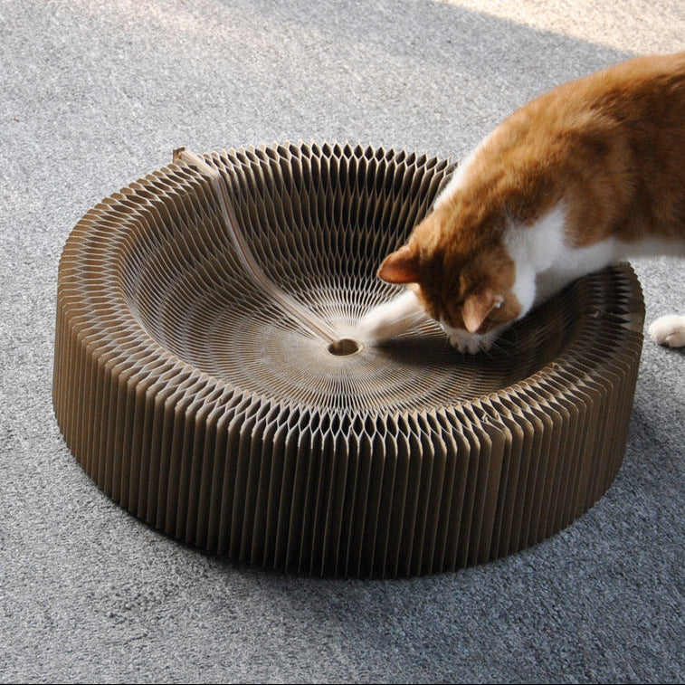 Scratching