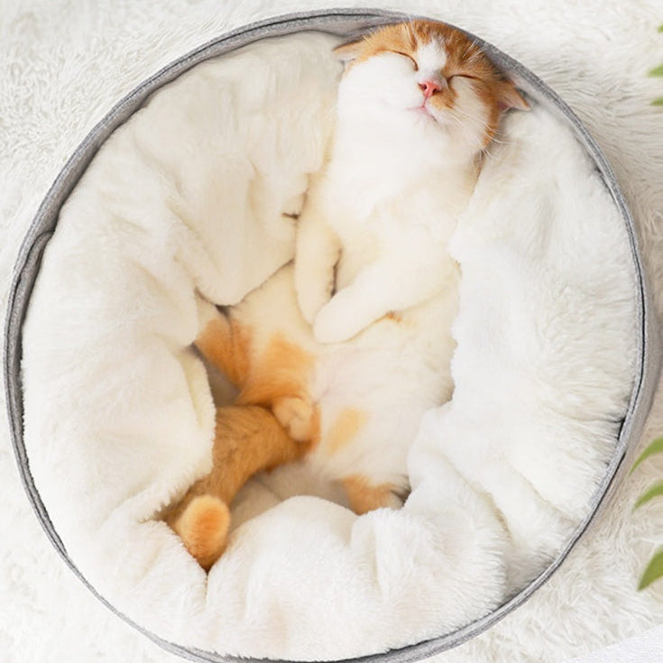 Pouch Bed