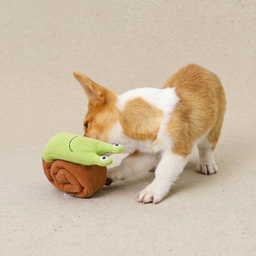 Rollie Snail
